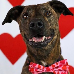 Meet your Posher, Kevin